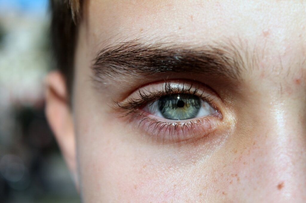 Estce que les sourcils repoussent si on les coupe