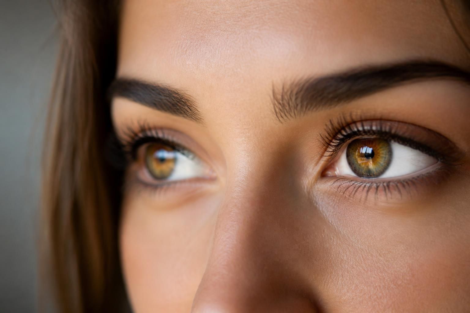 découvrez si les yeux noisette et hazel eyes désignent la même couleur et explorez les nuances et spécificités de ces teintes uniques.