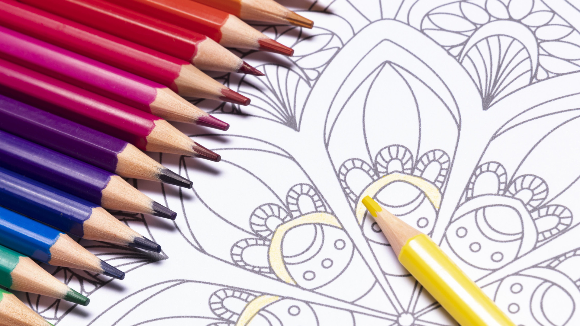 L'art de l'évasion par le trait : quand le dessin rencontre la littérature...