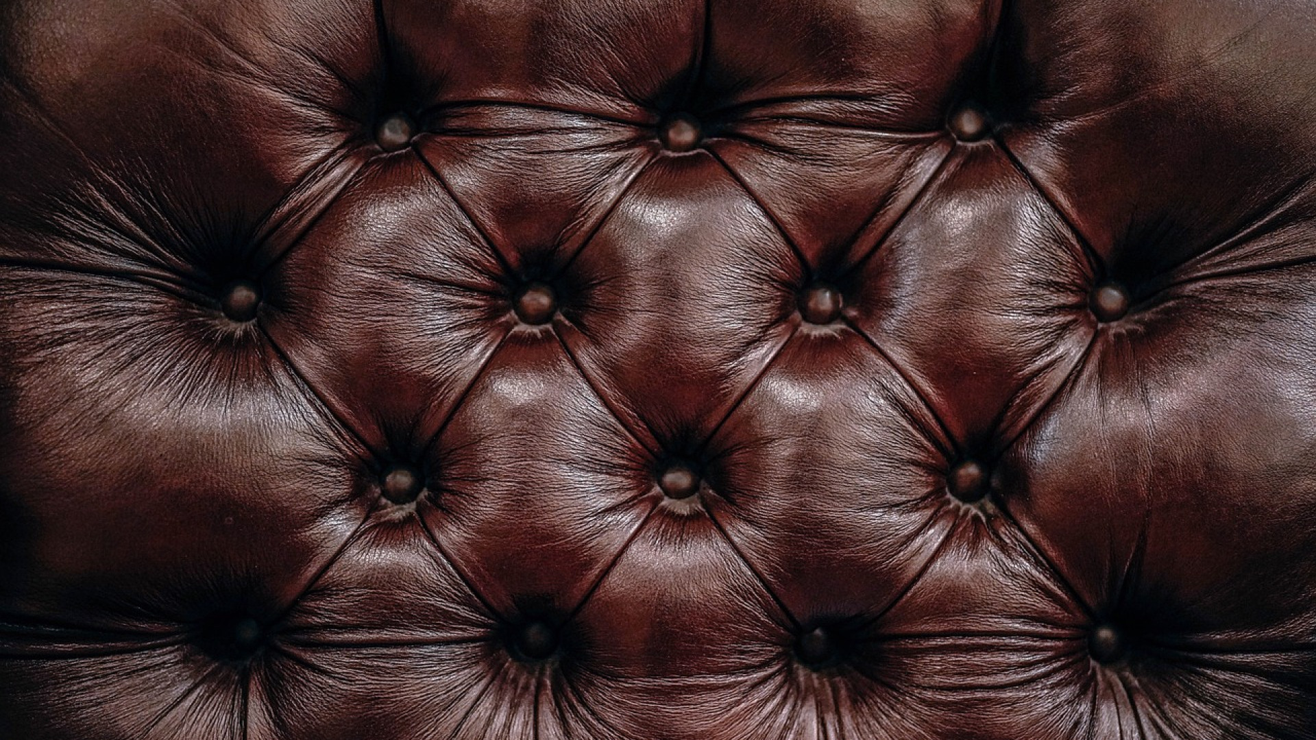 Le guide ultime pour choisir une teinture pour le cuir à tannage végétal