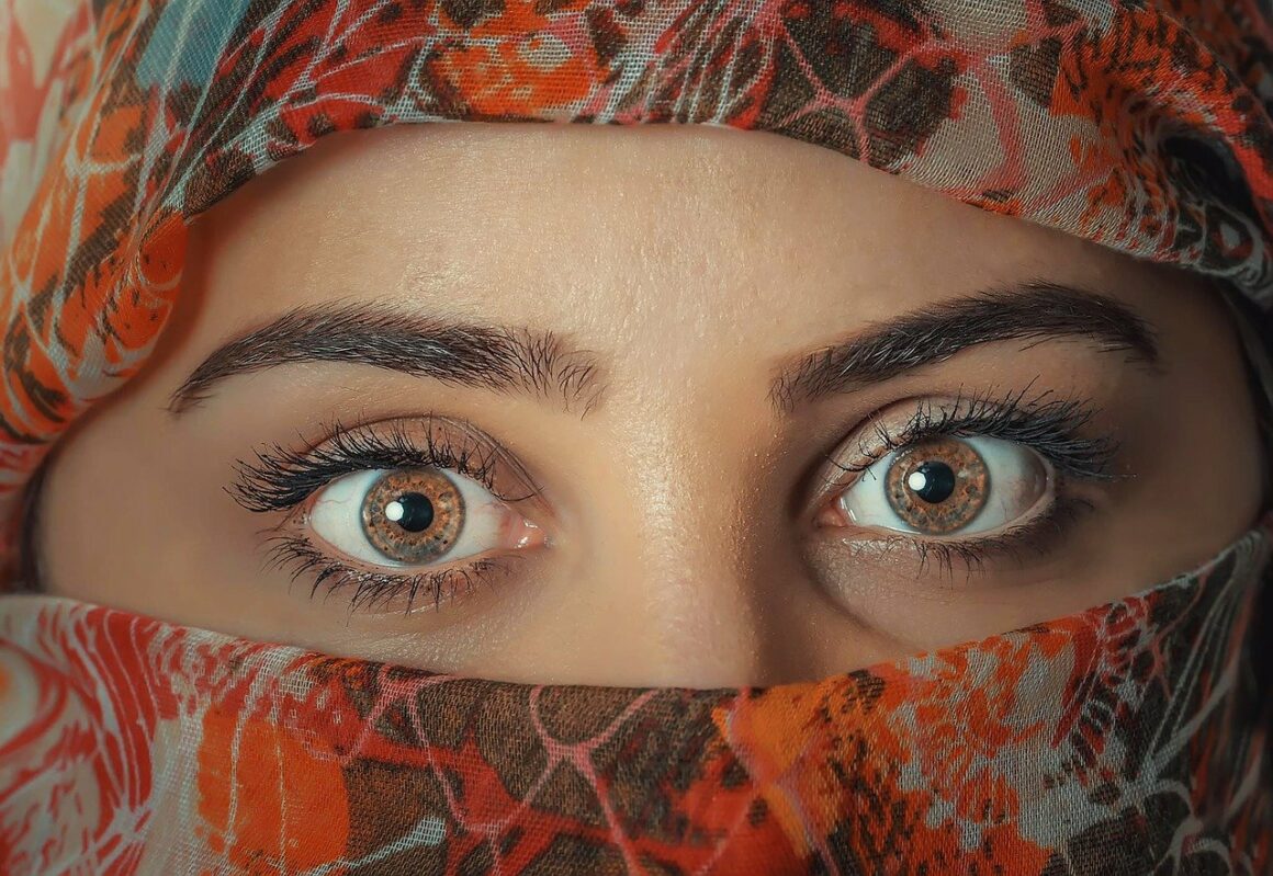 zone des yeux